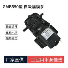 12V24V小微型水泵 隔膜泵 自吸抽水泵 饮水机小水泵厂家