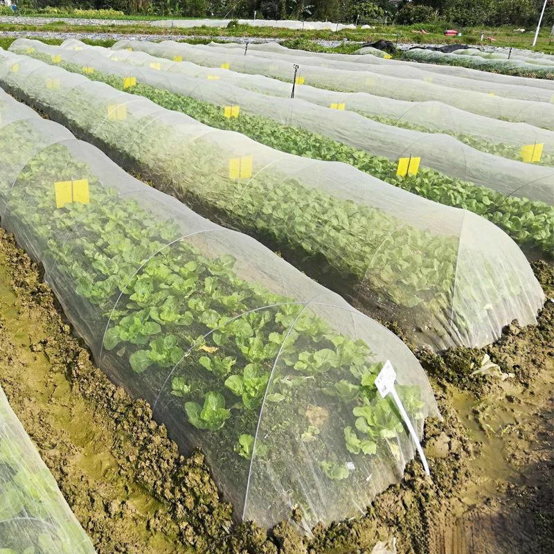 种菜防虫网种菜 农用防虫网农用蔬菜防虫网大棚地种菜网 纱网
