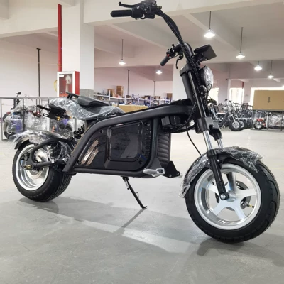 Elektrikli motosikletlər Harley Adult Two-Wheeled