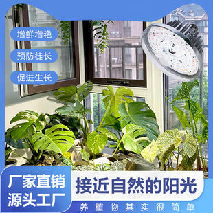 Imitation Sun Plant Growth Indoor Led Fill Light Full Spectrum Hot Planting Succulent Anti-Stretch Strawberry Vegetable Flower Lamp