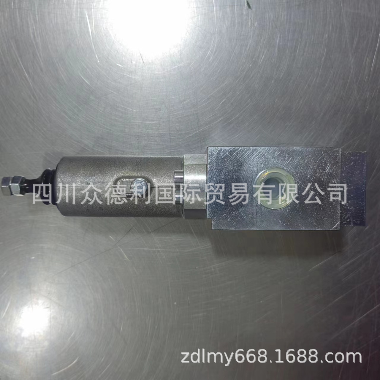 现货供应油田用HAWE哈威SG2W-NUH刹车阀