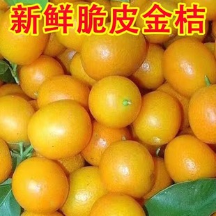 �V�����ִ�Ƥ������rˮ���a��ժ�lС������5����