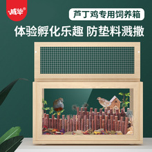 �J���u��B���쾰��ֳ�u�C�e����l�ʹ��|�ϱR���uľ�^����С�C��
