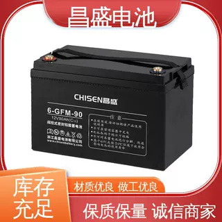 昌盛 6-GFMJ-90 EPS 应急蓄电池 医疗设备 材质优良
