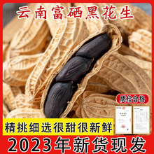 2023新鲜黑花生带壳富硒黑花生小粒黑皮花生米新货种子籽云南特产