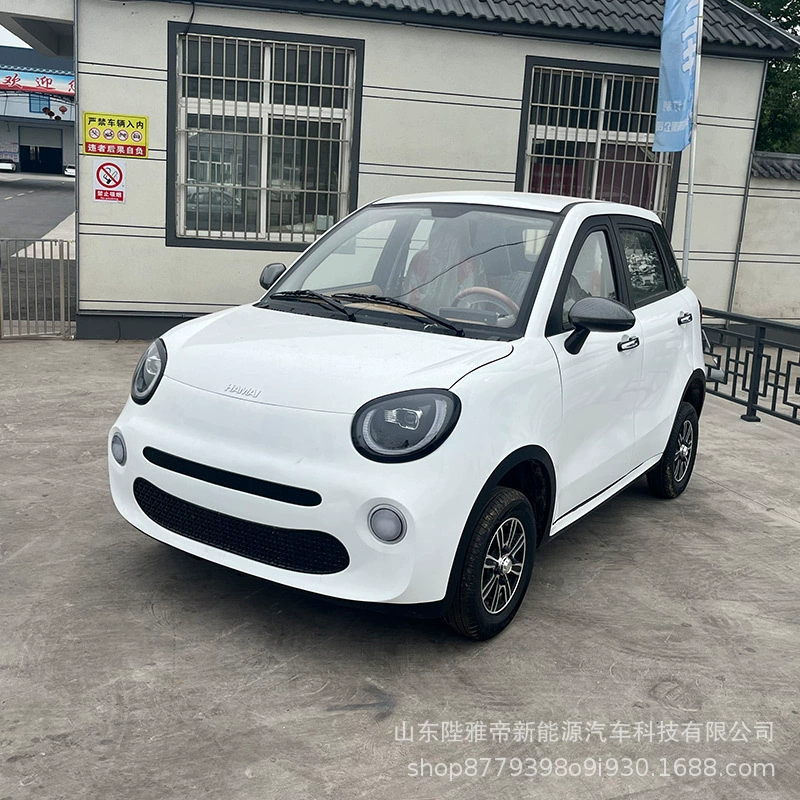 Новый электромобиль для мужчин и женщин, низкоскоростное транспортное средство для ежедневных поездок, четырёхколёсное мобильное транспортное средство с 3000-ваттным двигателем.
