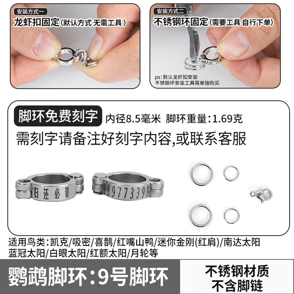 [White-necked Crow/Alexander, etc.] No. 9 stainless steel anklet (the buckle does not hurt the feet)