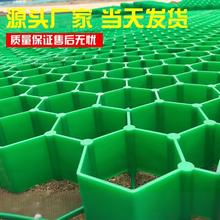 ֲ�ݸ�3.8��5��7�������z���ͭh���͉�ͣ܇͸ˮ�Gֲ�Ѻ÷�ˮ