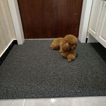 钉底丝圈地垫客厅塑料地毯入户门垫门口地毯外贸工厂供应链批发