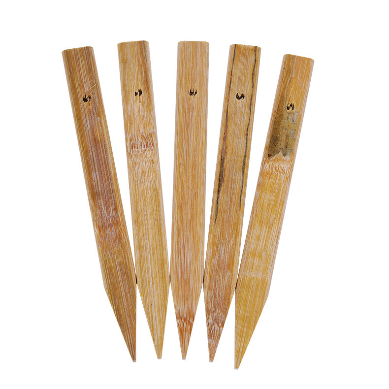 Plastic Ground Stake for Sun Umbrella, Fishing Umbrella, Pointed Ground Fork with Threading Hole, Shrimp Cage, Eel Cage, Bamboo Stake Rod