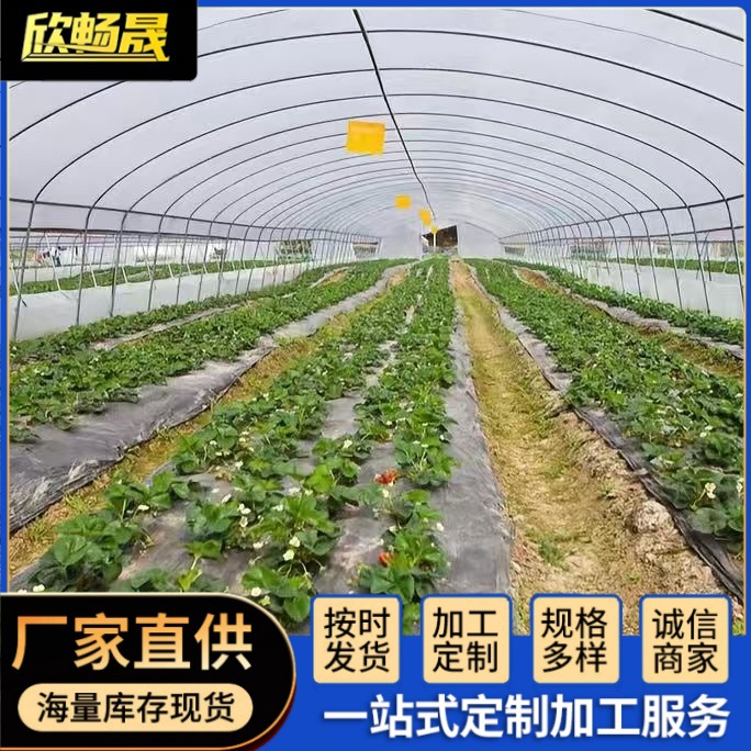 现货Q235镀锌圆管大棚骨架养殖种植蔬菜花卉大棚椭圆管薄壁椭圆管