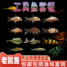 �����~������~�ח������坍���߽�̦�����ÿ�����؈����ھ��w��