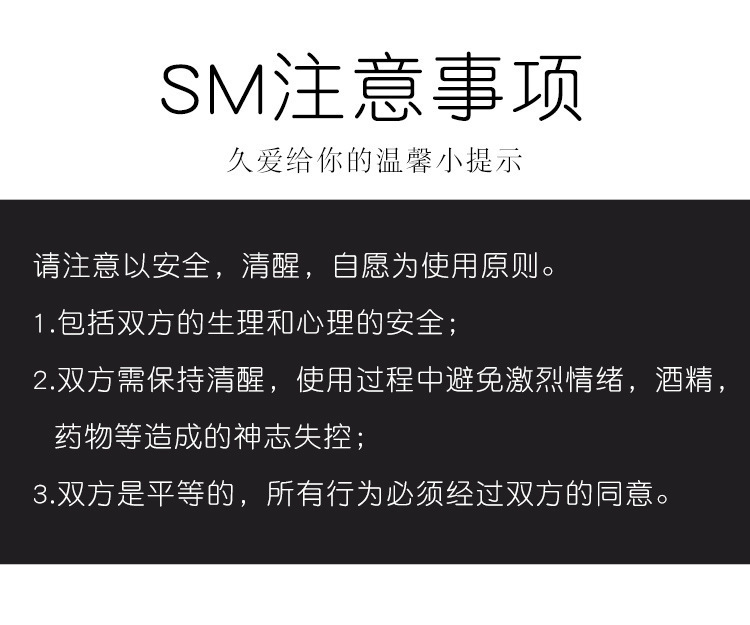 SM Four-Point Bed Restraint Kit with Metal Clips and Whip, Black — detail image 16