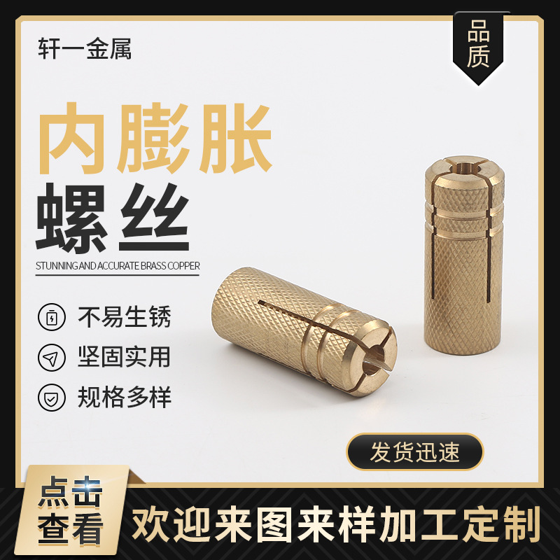 铜内迫 铜壁虎内爆铜内膨胀管 内膨胀螺丝顶爆铜内置式膨胀螺栓