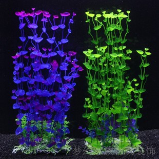 ¿ɫˮƷ~׾Gɫ̖ˮ쾰Ʒݼtɫb