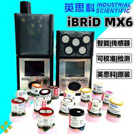 英思科MX6 iBrid检测仪用氧气硫化氢可燃一氧化碳氢气气体传感器