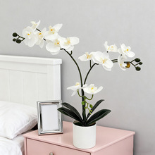 �A��ֲ�q���滨�����m�����zƬ�͏d�k�������漃ɫ�����b[��