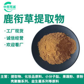 鹿衔草提取物 水提 鹿衔草浸膏粉 鹿衔草喷干粉