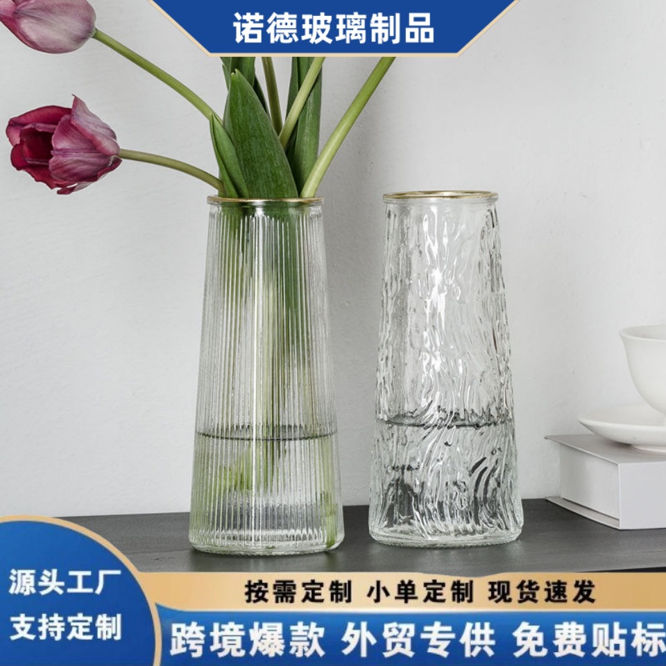 European-Style Simple and Creative Transparent Glass Vase for Flower Arrangement, High-End Feel, Hydroponic Flower Arrangement, Living Room Desktop Decoration