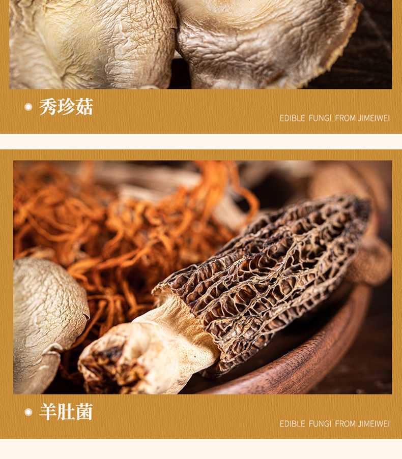 选购平菇菌棒的全面指南