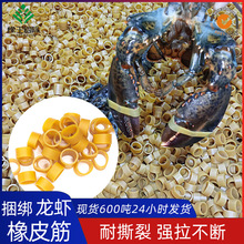 宽橡胶圈绑龙虾绑螃蟹耐磨不断耐老化牛皮圈橡皮筋批发