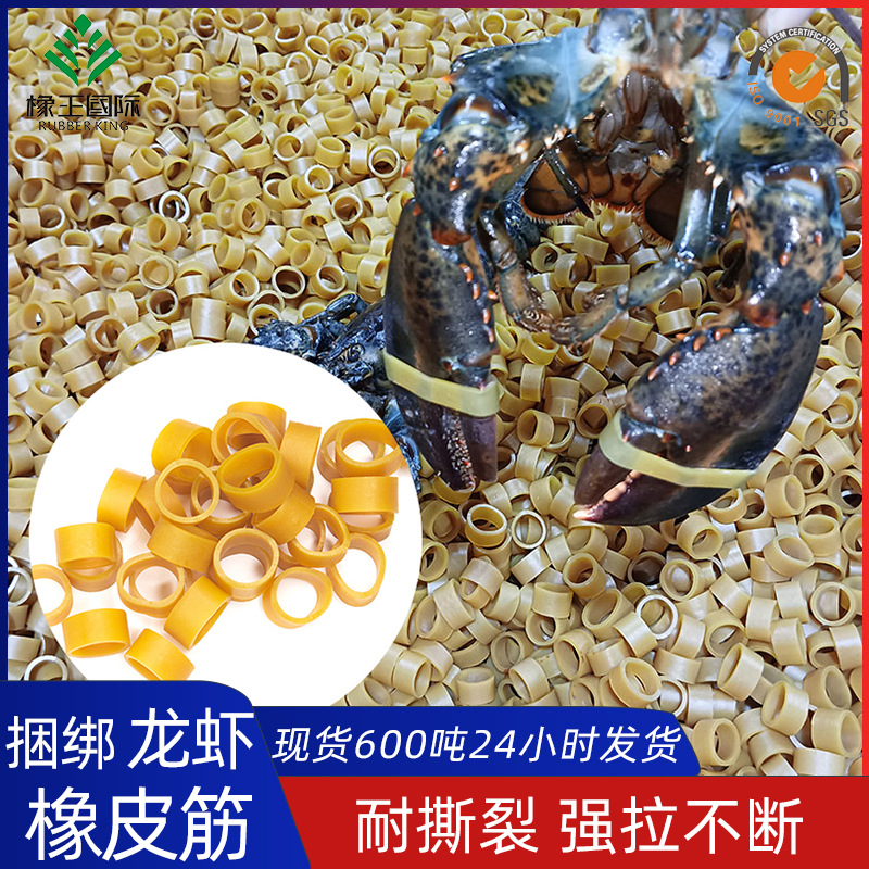 宽橡胶圈绑龙虾绑螃蟹耐磨不断耐老化牛皮圈橡皮筋批发