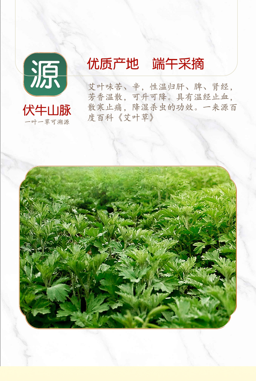 Pure Mugwort Leaf Moxa Wool Ai Rong 5:1 Concentrated Bulk 250g for Moxibustion and External Use key features