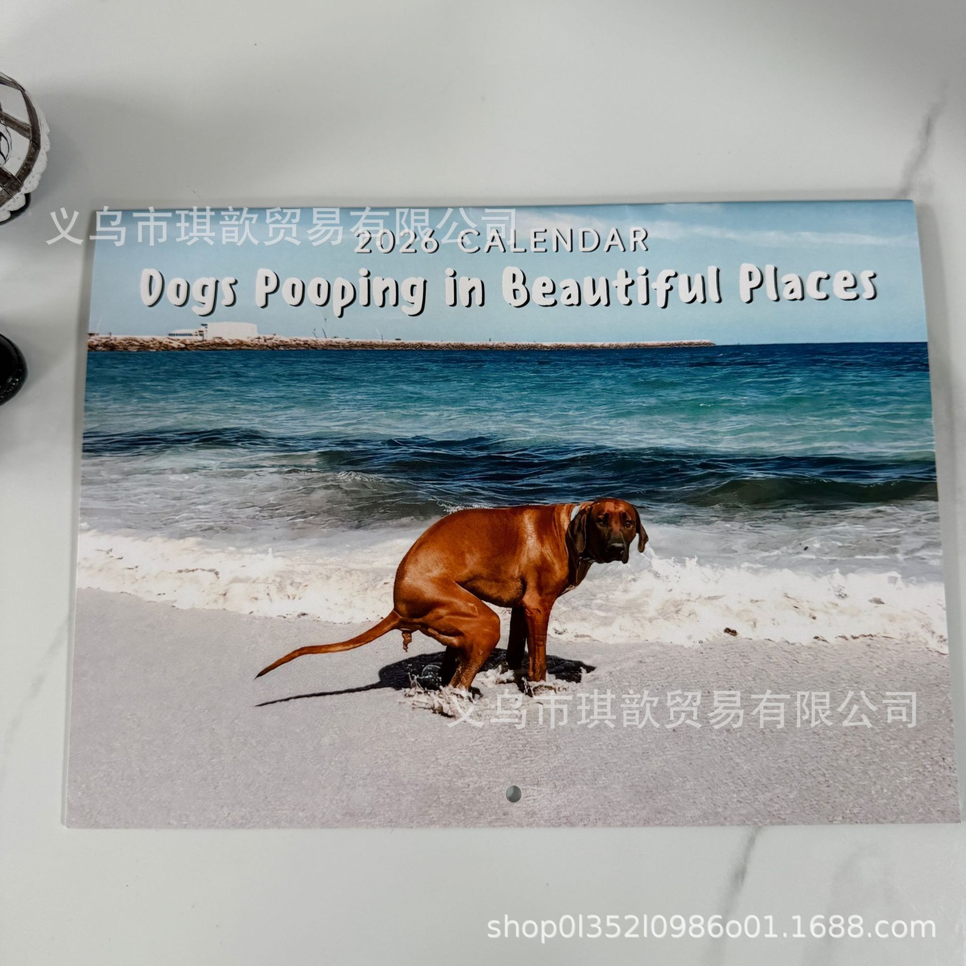 해변의 노란 개