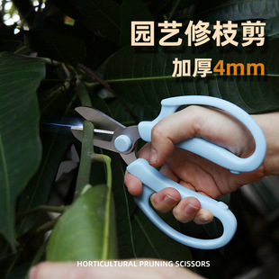 Household flower arrangement scissors floral scissors 4cr13 stainless steel branch shears thickened flower shears garden tools pruning shears