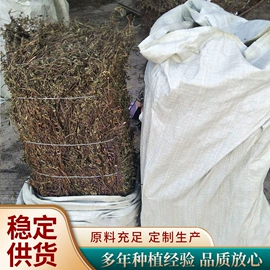 灵芝;库存农产品;冰粉/凉粉/龟苓膏/仙草冻粉