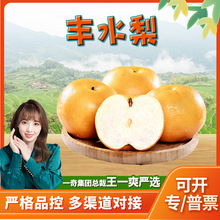 【严选】山东丰水梨 代发3斤当季新鲜冰糖梨皮薄多汁甜梨孕妇水果