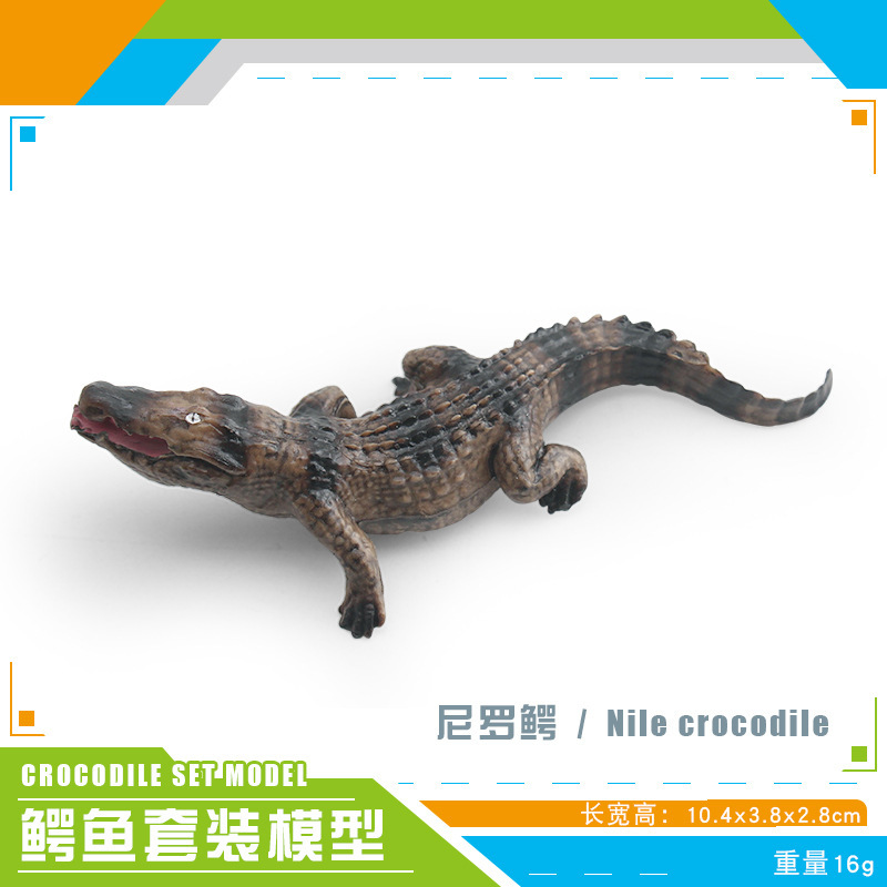 Transfronterizos infantiles simulación anfibio cocodrilo modelo cocodrilo imperador cocodrilo Yangtze mandíbula móvil estático juguete de decoración