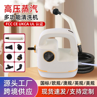Factory Customized Cleaning Machine Household Steam Machine Kitchen Fume Cleaning Machine High Temperature and High Pressure Digital Display Cross-Border Steam Machine