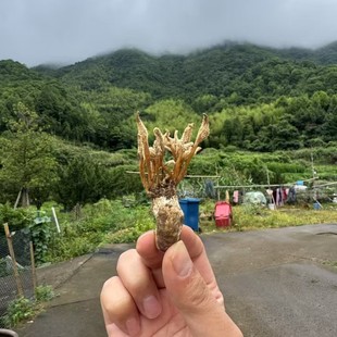 ��؛Ұ���s�����s���x�ݶ��x�Ĳ�֪�˻���󸻨����]