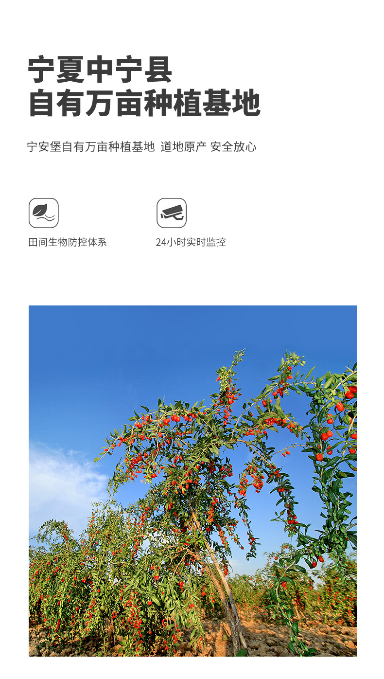 Ning'anbao Zhongning Goji Berry Puree Fresh Wolfberry Juice 300ml Ready to Eat specifications