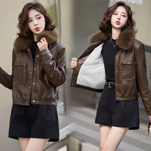 专柜同款绵羊皮女装2025冬季款毛领加厚加棉时尚洋气短款上衣外套