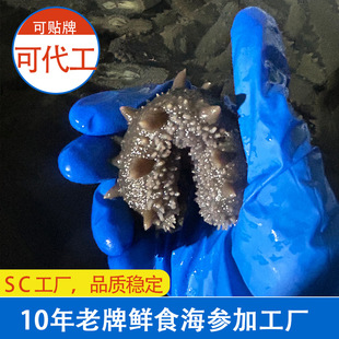 SC���S���B�����rʳ����ɢ�b��� ������ʳ�������l