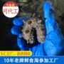 大连即食鲜食散装海参