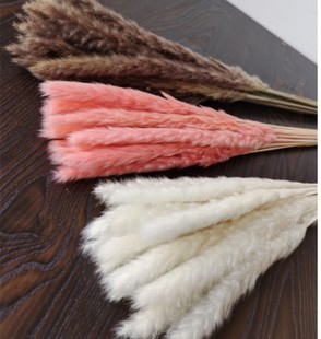 Dried Flower Small Reeds Ins Nordic Style Gray Decorative Soft Feather Duster Wedding Photography Cross-Border Supply Wholesale Arrangement Ins Style