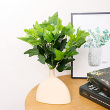 �羳����G�}�~���W�L�Ҿ��bٻ��Gֲ���Է���ֲ���Ĕ[�