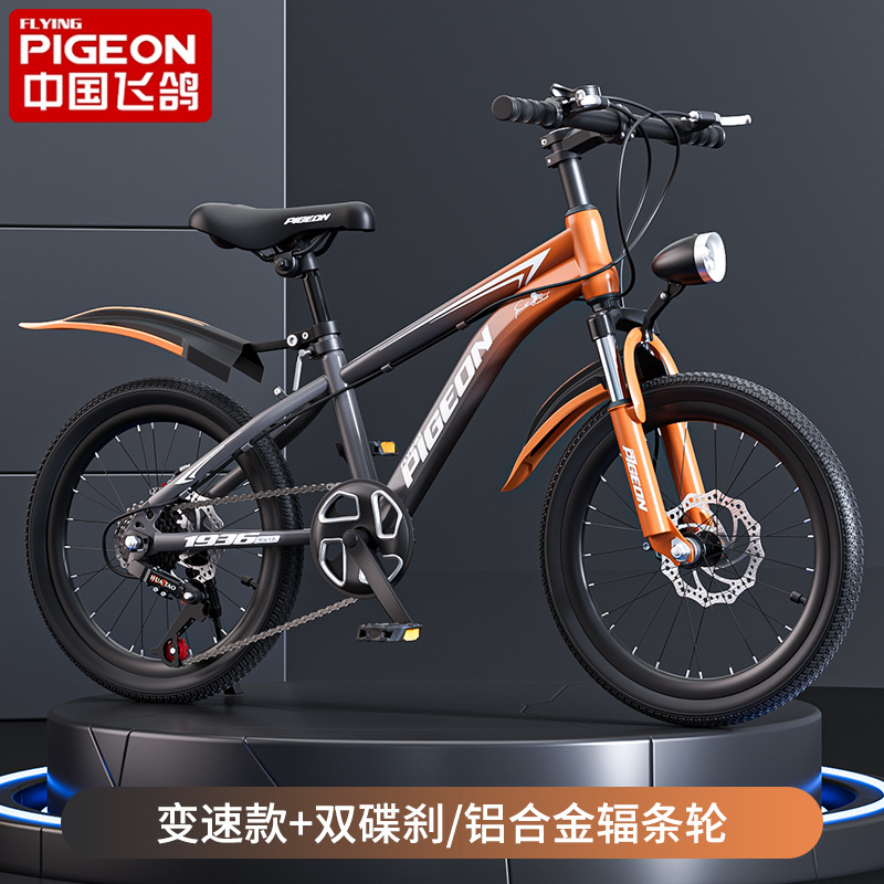 Gradient black + variable speed spoked wheel + shock absorption + gift package