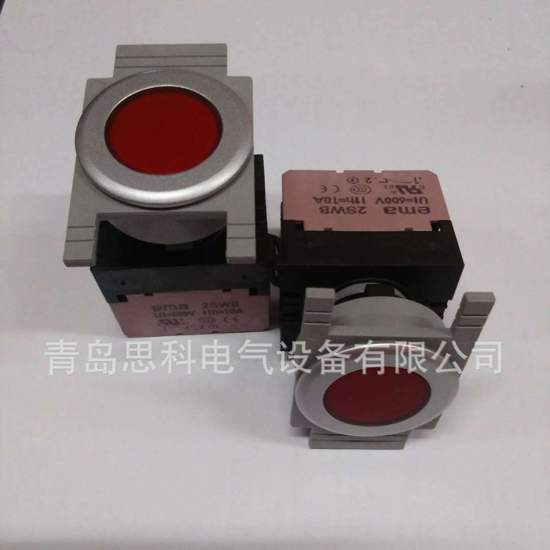 供应美国伊玛EMA30MM带灯自复位按钮开关E3P1R1A1B5L.M  AC220V