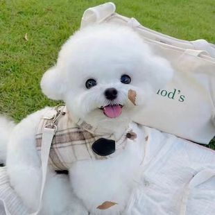 ���N���㙉̩��Ȯ��Ȯ���w�����豭ȮС�����pȮ��HȮ��������