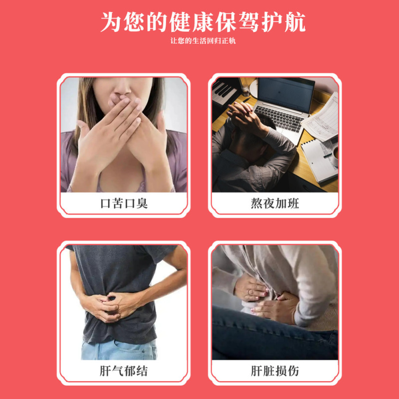 香港薬局 オオアザミ 高麗人参 フェイズラ パッチ オオアザミ 肝臓保護パッチ 肝臓の熱 口苦い口臭 よもぎパッチ|undefined