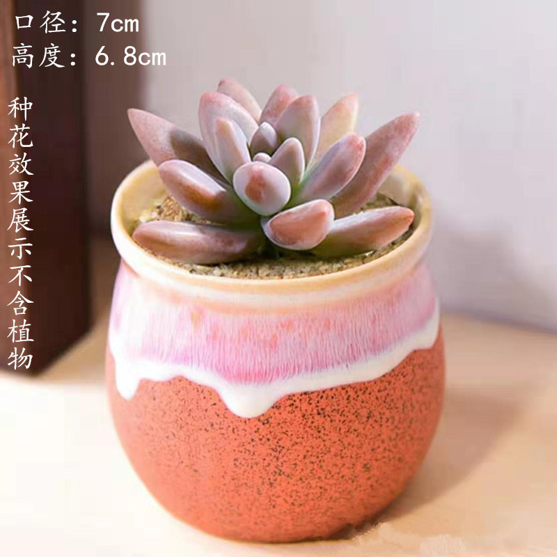 植木鉢の小さい新商品の缶のアイデアの磁器の缶の多い陶磁器の肉のミニ陶のレトロな家庭の陶磁器のたらいの園芸の太い新しいです。|undefined