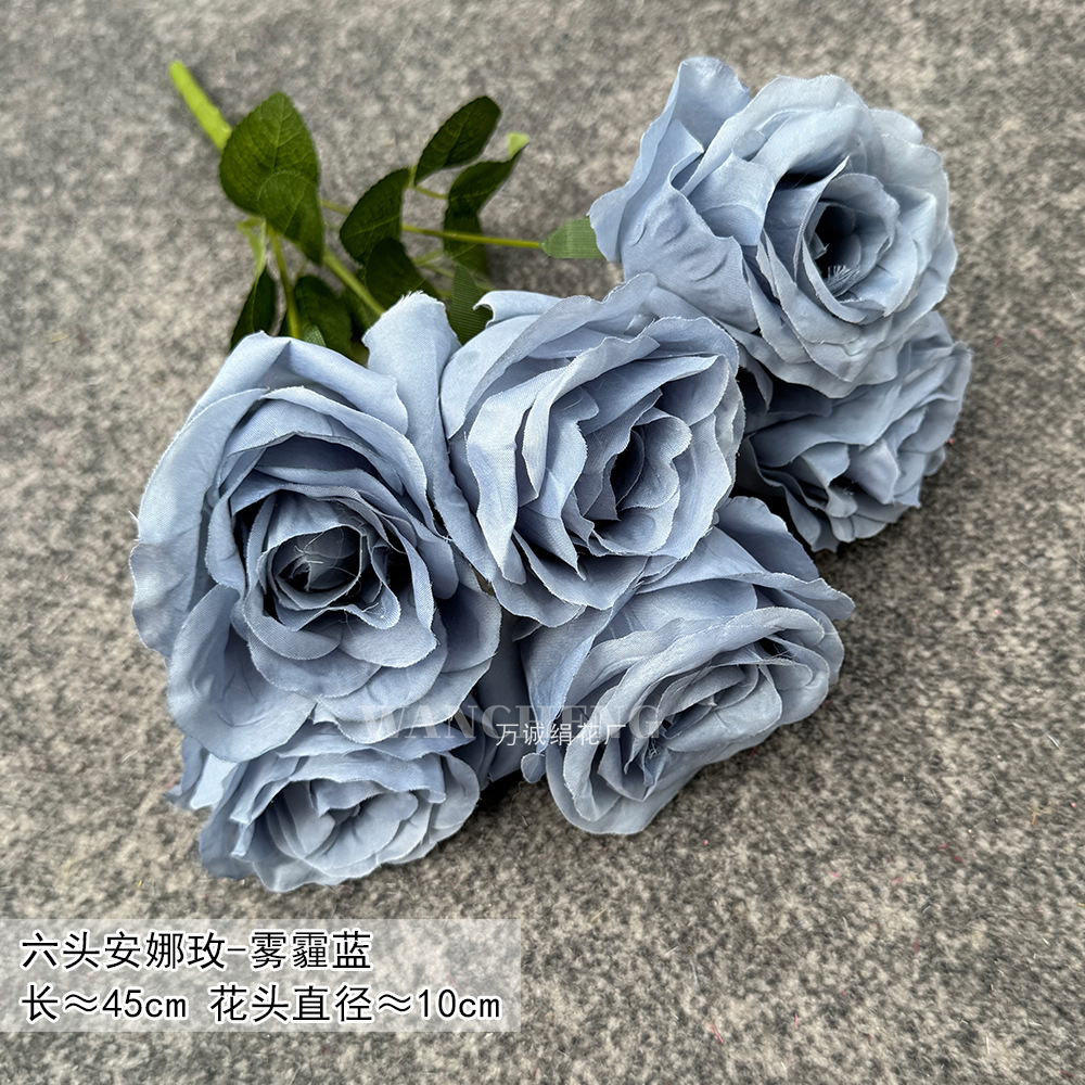 Six-headed Anna Rose-Haze Blue