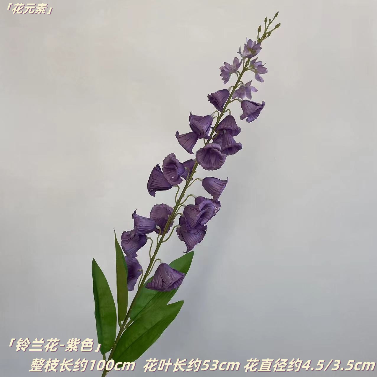 보라색