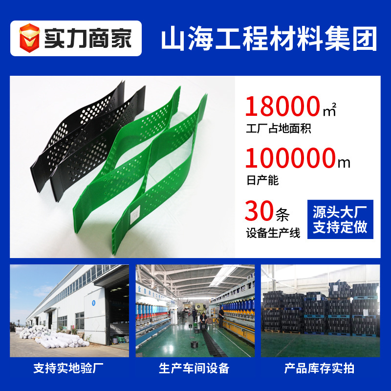 蜂巢土工格室厂家打孔压花TGLG格室边坡防护绿化HDPE格室防渗