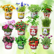 ��ͯ�Nֲ�������Ԅ���DIYС�����ֹ�ֲ��Gֲ�������[�����l