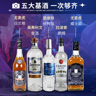 【5支装】酒吧基酒鸡尾酒调酒套装金酒白朗姆白兰地威士忌伏特加-阿里巴巴